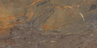 Fossil Brown Malevich Naturale 60x120