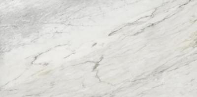 Ashy 60x120
