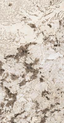 NATURE MOOD GLACIER GLOSS.9MM 60X120 RET