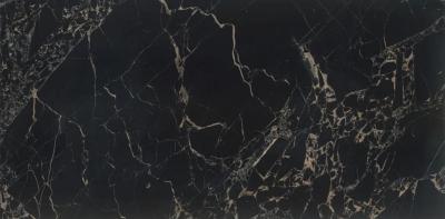 Marmi Portoro Black 60x120