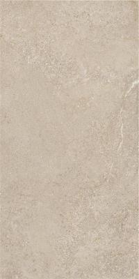 Arenite Natural Matt 120х60