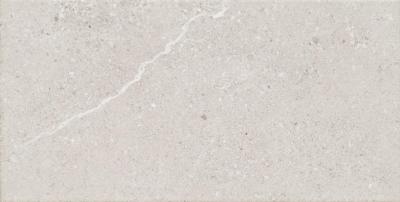 Grey 30.8x60.8