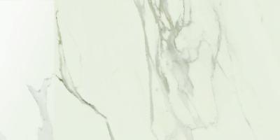 Calacatta Oro Rett Lucidato 30x60