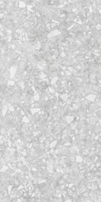 Molekula Grey 60x120
