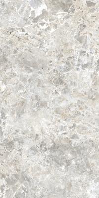 SILVER LEVIGATO 60x120