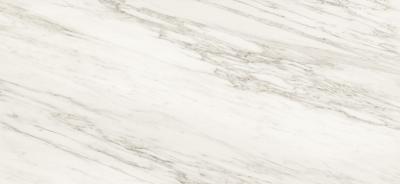 Venato Bianco 120x260