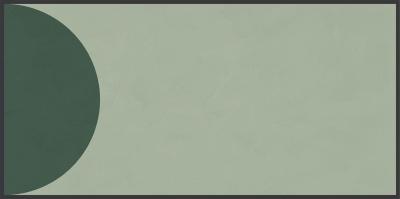 Volta Lichene-Conifera Opaco R