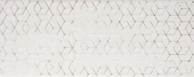 Geo 20x50