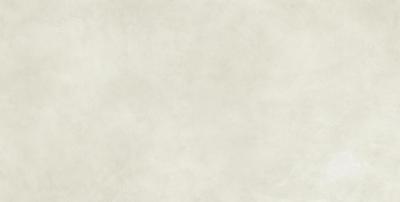 Lifestyle Snow 60x120