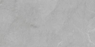 Barcelona Light Grey 60x120 5мм Matt
