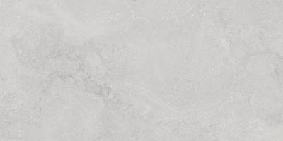 Light Stone Silver Matt 60x120