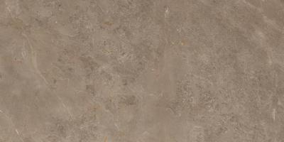 Stone Luish Brown 60x120