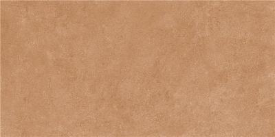 DETROIT COTTO MT 60X120