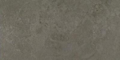 Moss Striato 29.75x59.55