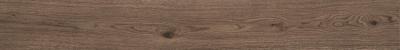 Vivo Castano Rett 22.5x180
