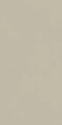 Слим Дезерт 60х120