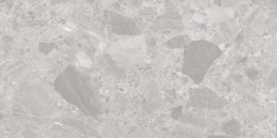 Stone Teraco Gris 60x120