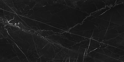 Negro Marquina Silk 160x320