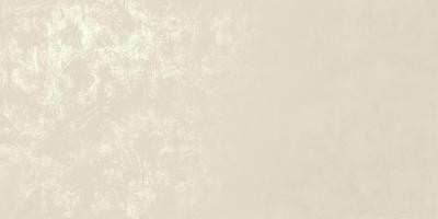 White 60x120, универсальная