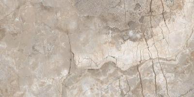 Marble Breccia Primavera 60x120