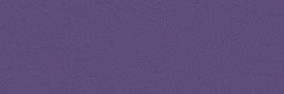 Viola 10x30