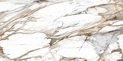 Level Marmi Book Match "B" Macchia Vecchia Full Lappato 162x324