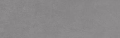Planet Anth Ap A L R 29x90
