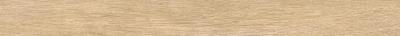 Champagne Listello 7.2x80
