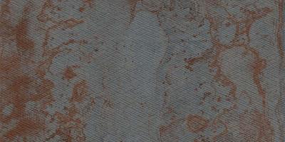 Black Skin 59.55x119.3