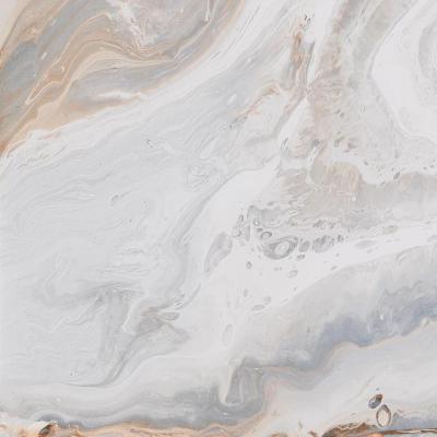 Doinyo R Polished 79.3x79.3