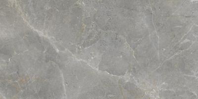 Augustus Grey Natural 60x120