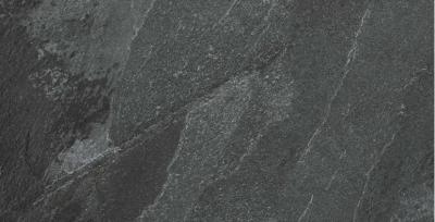 Coal
