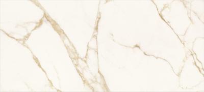 Calacatta Oro Chain C 120x260