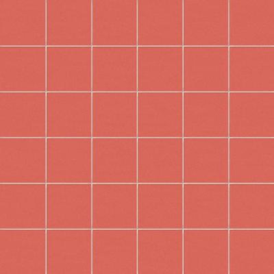 Corallo Rete 5x5 30x30