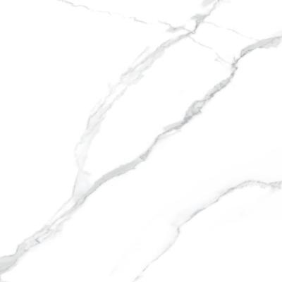 Lappato Rettificato 60x60