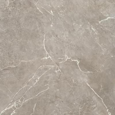 Glossy Grey Rec 60x60