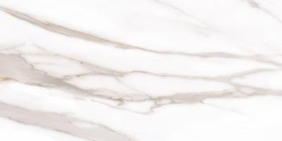 Calacatta Gold Canova Naturale 30x60