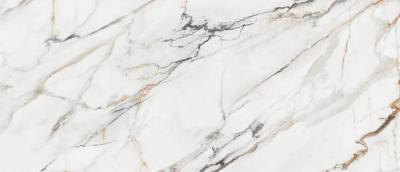 Calacatta Gold Pulido Rett 63x146