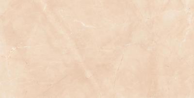Armani Natural Beige 60x120
