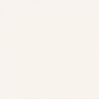 Fresh White 31.6x31.6