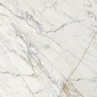 Calacatta Oro Rettificato 120x120