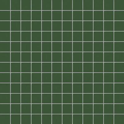 Felce Su Rete 2.5x2.5 30x30