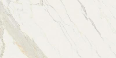 Bianco Calacatta Levigato Rettificato 30x60 Bianco Calacatta Levigato Rettificato 30x60