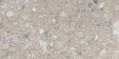 Ariana Futura Cenere Nat R 60x120