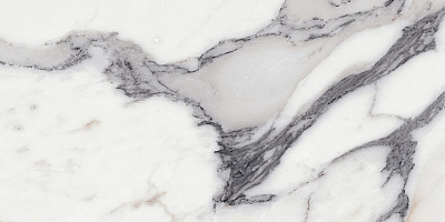 Керамогранит Les Origines Argent Glossy 60x120