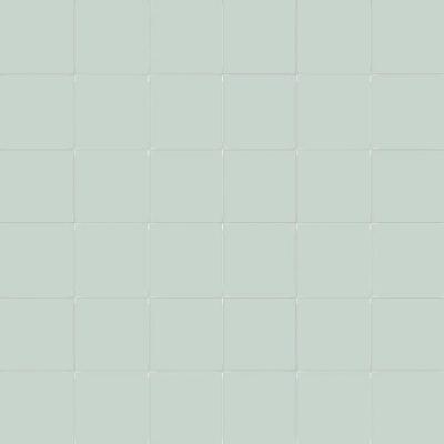 Edera Rete 5x5 30x30