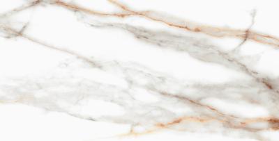 Керамогранит SM 03 60x120