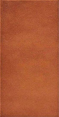 Керамогранит Clasica Cobre 14x28