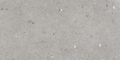 Grigio Tecnica Antislip R11 60x120