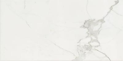 Calacata Glossy
